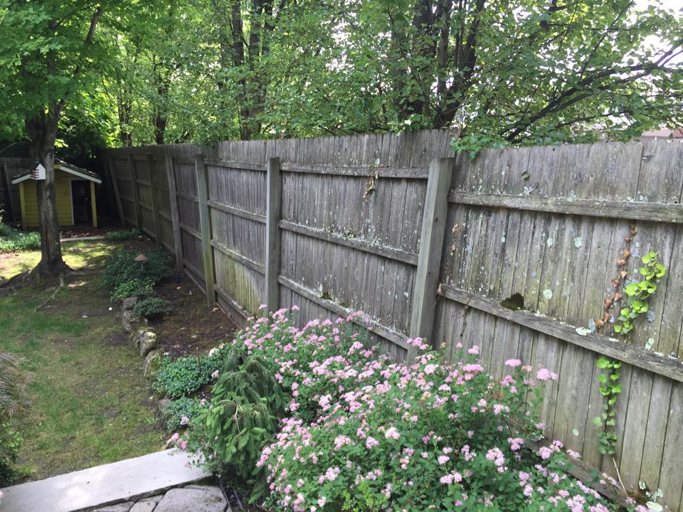 power wash and stain wood fence before
