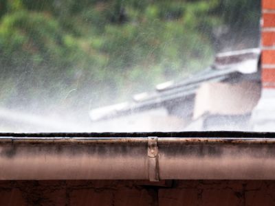 roof cleaning