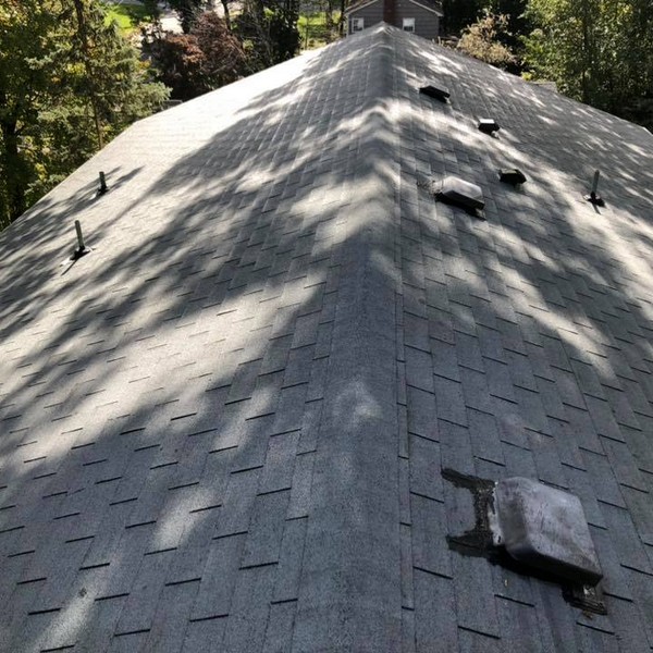 roof cleaning